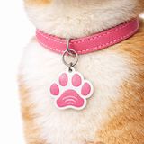 NFC Akıllı Pati Künyesi – Kedi ve Köpekler İçin | Acil Durumlarda Arama Özellikli | Pembe/Beyaz