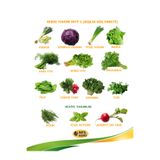 NFS AGRO SEBZE TOHUM SETİ 1 (KIŞLIK GÜÇ PAKETİ) 14 çeşit tohum