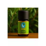 Niaouli* Organik %100 Saf Uçucu Yağ 10Ml