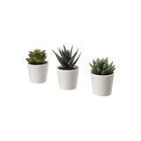 NIDAGE 3lü Yapay Kaktüs Saksılı Yapay Bitki, Mini 6 cm, Beyaz Saksı, İç-Dış Mekan Dekorasyon
