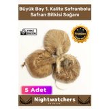 Nightwatchers Deluxe Özel Dikime Hazır Yerli Üretim Büyük Boy 1. Kalite Safranbolu Safran Bitkisi Soğanı - 5 Adet 5 Crocus Sativus Mis Kokulu