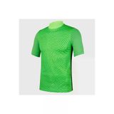 Nike 05-BV6714-2 Gardien Iıı Erkek Yeşil Dik Yaka Kaleci Forması