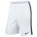 Nike 725881-100 Erkek Şort