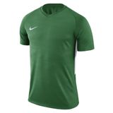 Nike 894230-302 Erkek Forma
