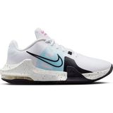 Nike Air Max Impact 4 Erkek Basketbol Ayakkabısı DM1124-101 Renkli