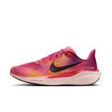 Nike Air Zoom Pegasus 41 SE Kadın Koşu Ayakkabısı HQ2464-800