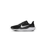 Nıke Aır Zoom Pegasus Erkek Ayakkabı FD2722-002
