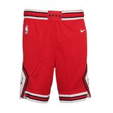 Nike AJ5593-657 Kırmızı Chicago Bulls NBA Erkek Basketbol Şortu