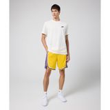 Nike AJ5617-728 NBA Los Angeles Lakers Lebron Erkek Sarı Basketbol Şortu
