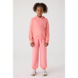 Nike BG Store Kız Çocuk Pembe Sweatshirt