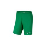 Nike BV6855-302 Yeşil Spor Şort Erkek