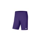 Nike BV6855-547 Mor Spor Şort Erkek