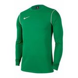 Nike BV6875-302 Park 20 Crew Yeşil Yuvarlak Yaka Uzun Kol Erkek T-Shirt