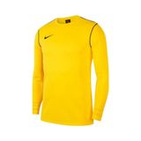Nike BV6875-719 Sarı Park 20 Crew Top Futbol Uzun Kollu Erkek T-Shirt