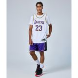 Nike DO9432-504 Los Angeles Lakers NBA Mor Basketbol Erkek Şort