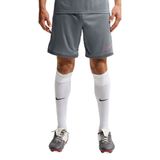 Nike Dri-Fit Academy 25 Erkek Gri Futbol Şort IF1448-013