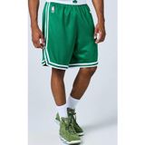 Nike Dri Fit NBA Boston Celtics Swingman Icon Editicion Basketball Shorts Erkek Basketbol Şort Yeşil