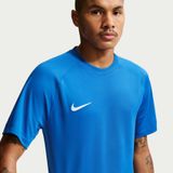 NIKE Dri-FIT Park VIII Jersey SS Erkek Mavi Tişört HV8173-463