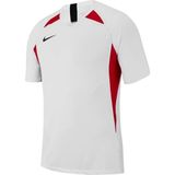 Nike Dri-Fıt Striker Legend V AJ0998-101 Erkek T-Shirt - Beyaz