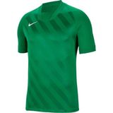 Nike Dry Jersey Challenge III Erkek Forma Yeşil Renkli Polyester Kumaşlı Şık Tasarım