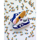 Nike Dunk Low Sb Blue