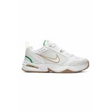 Nike Erkek Koşu Antrenman Ayakkabısı Air Monarch IV