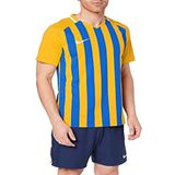 Nike Erkek Striped Division II Futbol Jersey Tişört