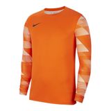 Nike Erkek Sweatshirt Dry Park Iv Sweatshirt
