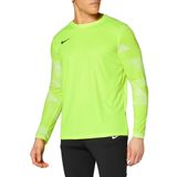 Nike Erkek Uzun Kollu Tişört M Nk Dry Park Iv Jsy Ls Gk XL Yeşil