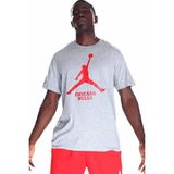 Nike FD1460-063 Chicago Bulls NBA Erkek Gri Basketbol T-Shirt