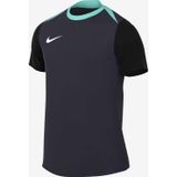 Nike FD7592-454 M Nk Df Acdpr24 Ss Top K Erkek Antrenman Tişörtü