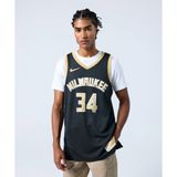 Nike FN5911-053 Giannis Antetokounmpo Milwaukee Bucks 2024 Select Series Siyah Erkek Forma