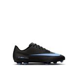 Nike FQ8441-001 Mercurial Vapor 16 Club FG/MG Siyah Futbol Erkek Krampon