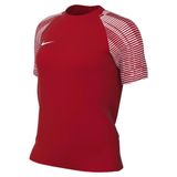 Nike Fz4887-657 W Nk Df Academy Jsy Ss Kadin Spor Tisort