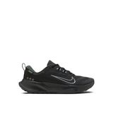 Nike HM9725-001 WMNS JUNIPER TRAIL 2 GTX Siyah Kadın Koşu Ayakkabısı
