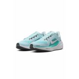 Nike Kadın Şoşu Anteraman Ayakkabısı Air Zoom Pegasus 41