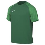 Nike M Nk Df Academy Jsy Ss Erkek Forması