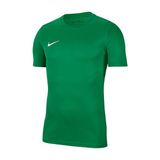 Nıke M Nk Df Park Vıı Jsy Ss Erkek Futbol Forması BV6708-302 Yeşil - Renkli