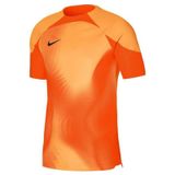 Nike M Nk Dfadv Gardien iv Gk Jsyss Erkek Futbol Kaleci Forması