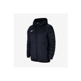 Nike M Nk Thrm Rpl Park20 Fall Jkt Erkek Mont