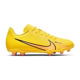 Nike Nıke Jr Vapor 15 Club Fg/mg Genç Çoklu Çim Zemin Kramponu DJ5958-780 Sarı - Renkli