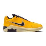 Nike Nıke Lebron Wıtness Ix Erkek Basketbol Ayakkabısı HQ8034-700 Sarı - Renkli