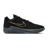Nike Nıke Lebron Wıtness Ix Unisex Basketbol Ayakkabısı HQ8034-003 Siyah - Renkli