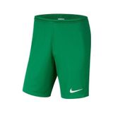 Nike Nıke Park Iıı Short Bv6855-302 Erkek Şort 001 yesil