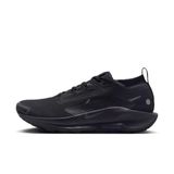 Nike Pegasus Trail 5 Gore-tex erkek spor ayakkabısı, Siyah Antrasit, 38.5 EU