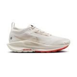 Nike Pegasus Trail 5 Gore-Tex Fq0912-100