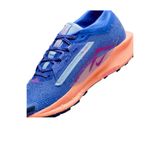 Nike Pegasus Trail 5 GORE-TEX Kadın Koşu Ayakkabısı FQ0912 503
