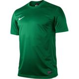 Nike Ss Park Vi Jsy Erkek T-Shirt 448209-302 - Yeşil