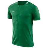 Nike Yeşil M Dry Chalng ii Jsy Ss Erkek Futbol Forması
