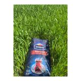 NİLDEM ÇAY Nildem Rize Çayı 5000 gr (5KG) (oralet Hediyeli )